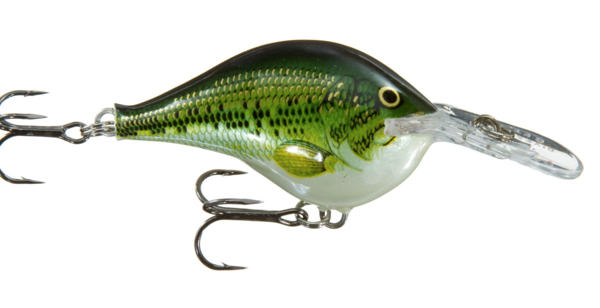 Rapala DT-16 – Been There Caught That - Fishing Supply