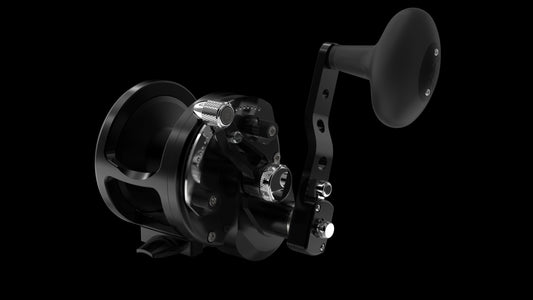 Avet JX 6/3 MC Raptor Reel