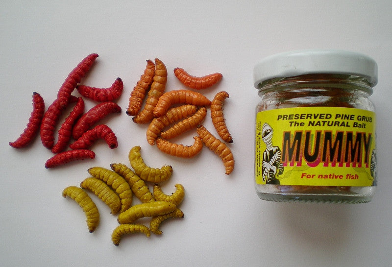 G. Pucci Mummy Grubs – Been There Caught That - Fishing Supply