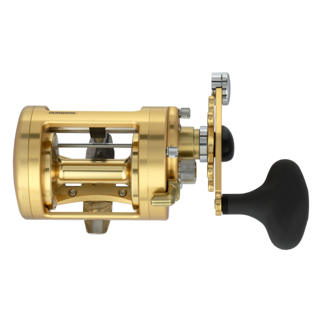 Shimano Calcutta B Reel – Been There Caught That - Fishing Supply
