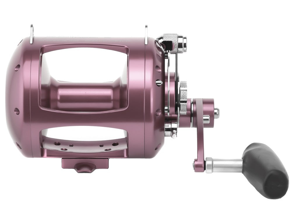 Avet T RXW50 2 Reel