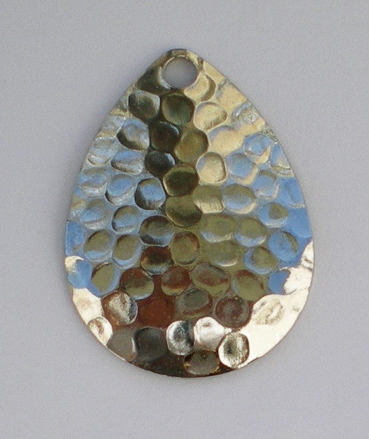 Colorado Hammered Silver 4